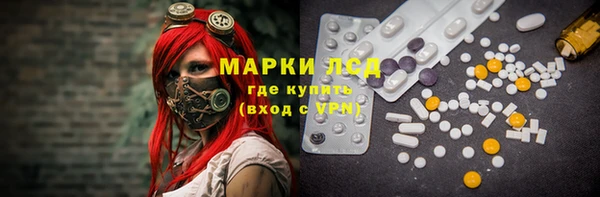 ГАЛЛЮЦИНОГЕННЫЕ ГРИБЫ Елабуга