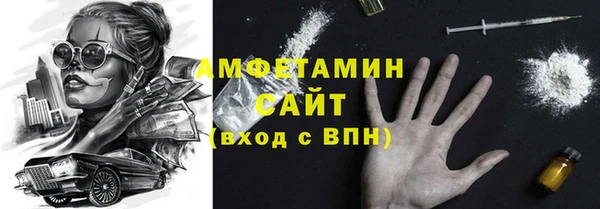 мдпв Ельня