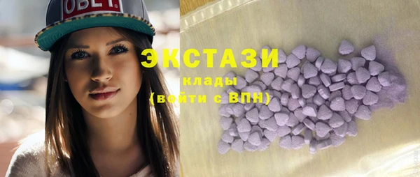 мдпв Ельня