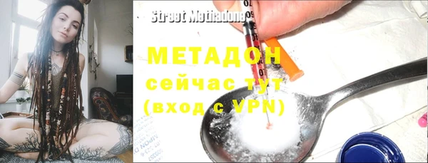 мдпв Ельня