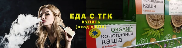 мдпв Ельня