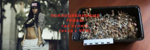 ГАЛЛЮЦИНОГЕННЫЕ ГРИБЫ Елабуга