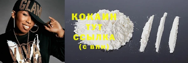 мдпв Ельня