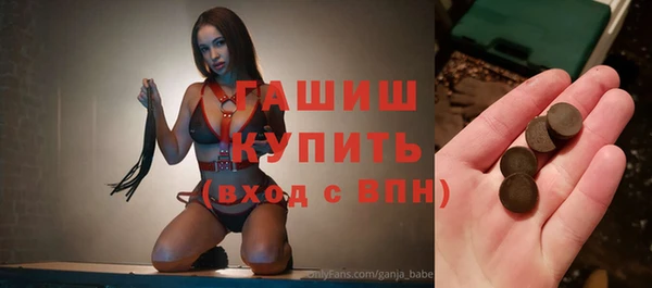 мдпв Ельня