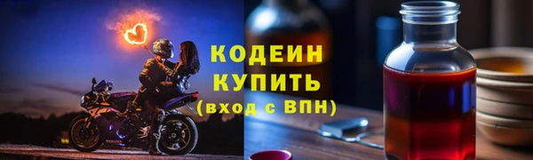 ГАЛЛЮЦИНОГЕННЫЕ ГРИБЫ Елабуга
