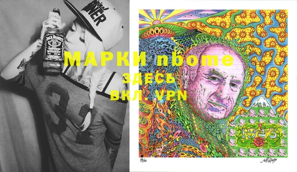 мдпв Ельня