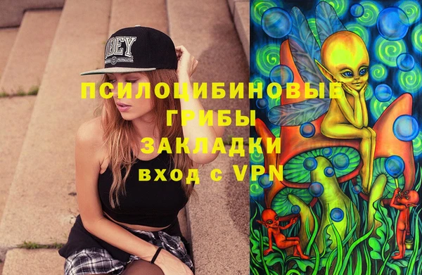 ALPHA PVP Елизово
