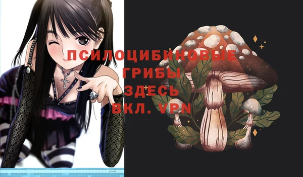 ГАЛЛЮЦИНОГЕННЫЕ ГРИБЫ Елабуга