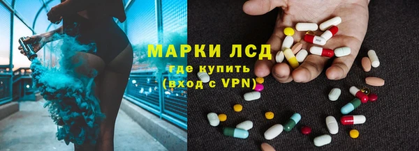 мдпв Ельня