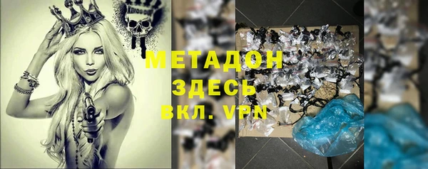 мдпв Ельня