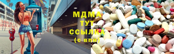 мдпв Ельня