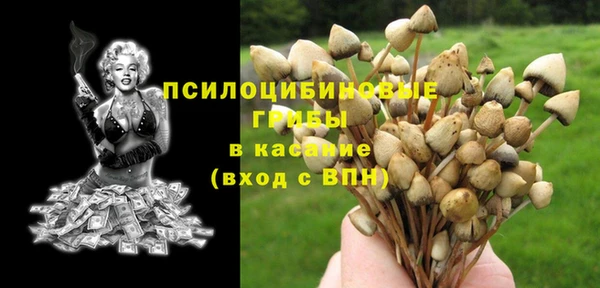 ALPHA PVP Елизово