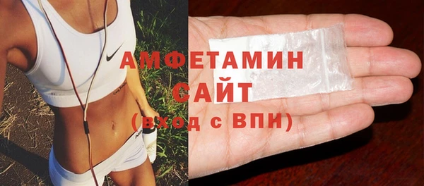 мдпв Ельня