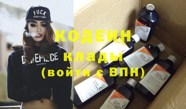 мдпв Ельня