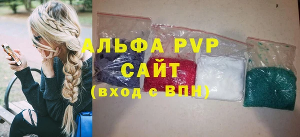 мдпв Ельня