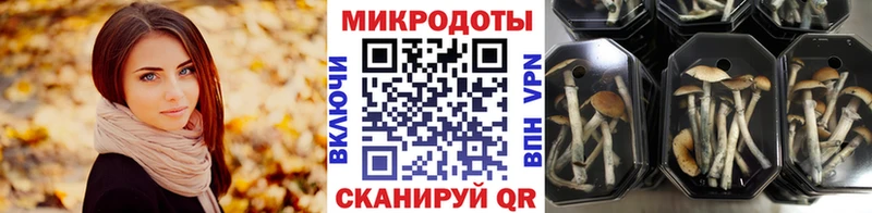 Псилоцибиновые грибы MAGIC MUSHROOMS  Кадников 